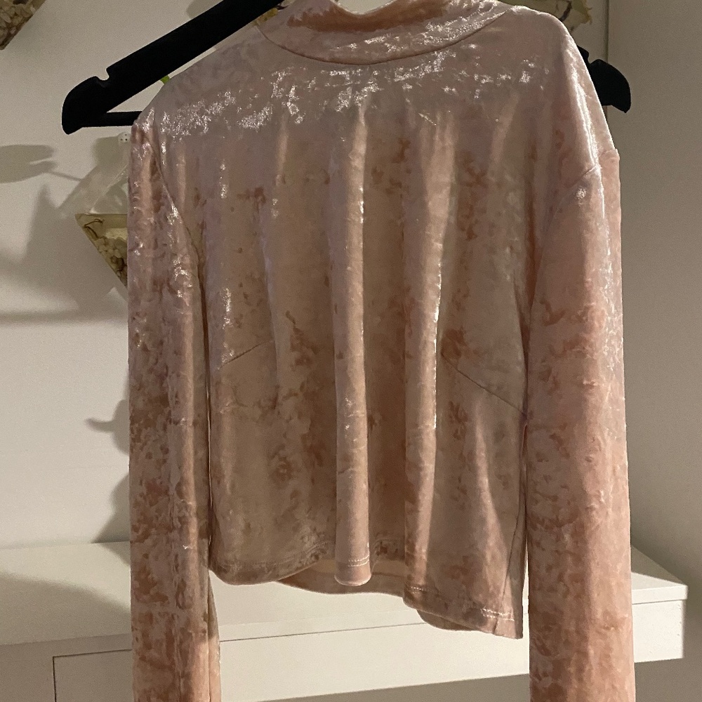 Forever 21 pink velvet long sleeve crop top